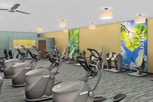 welcyon-ftness-suite