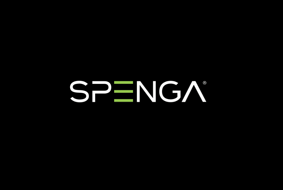 How Much Does It Cost To Start a Spenga Franchise In The USA